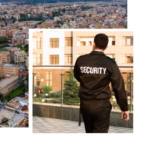 Commercial Security Solutions for Nikol